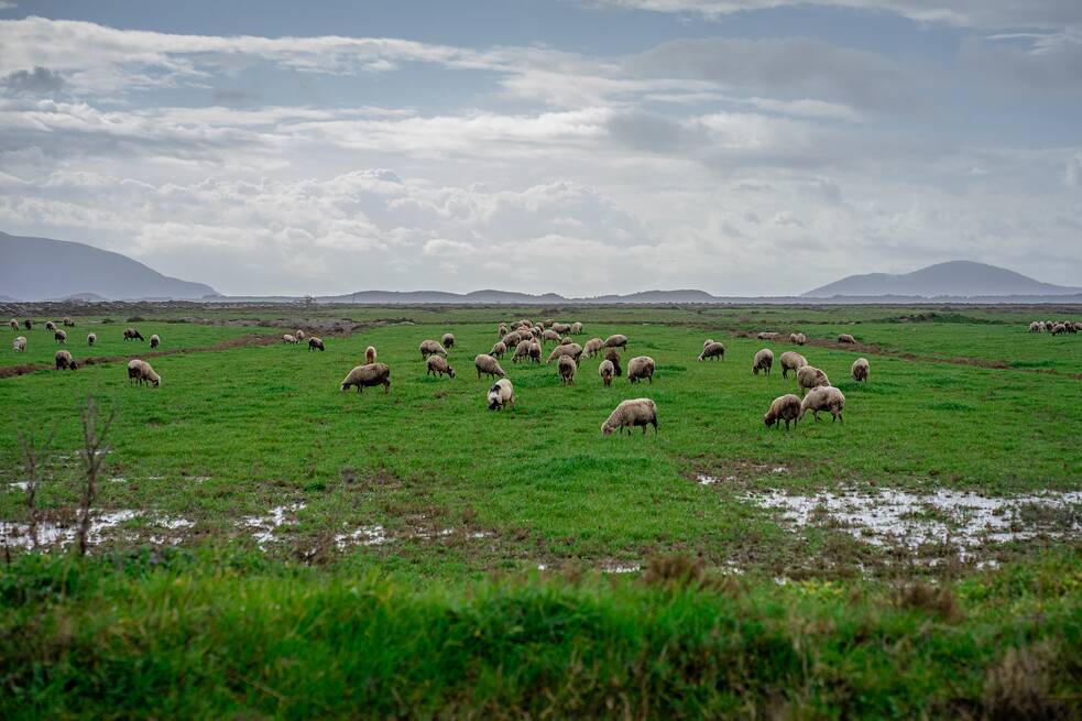 Die Landschaft im Naturschutzgebiet