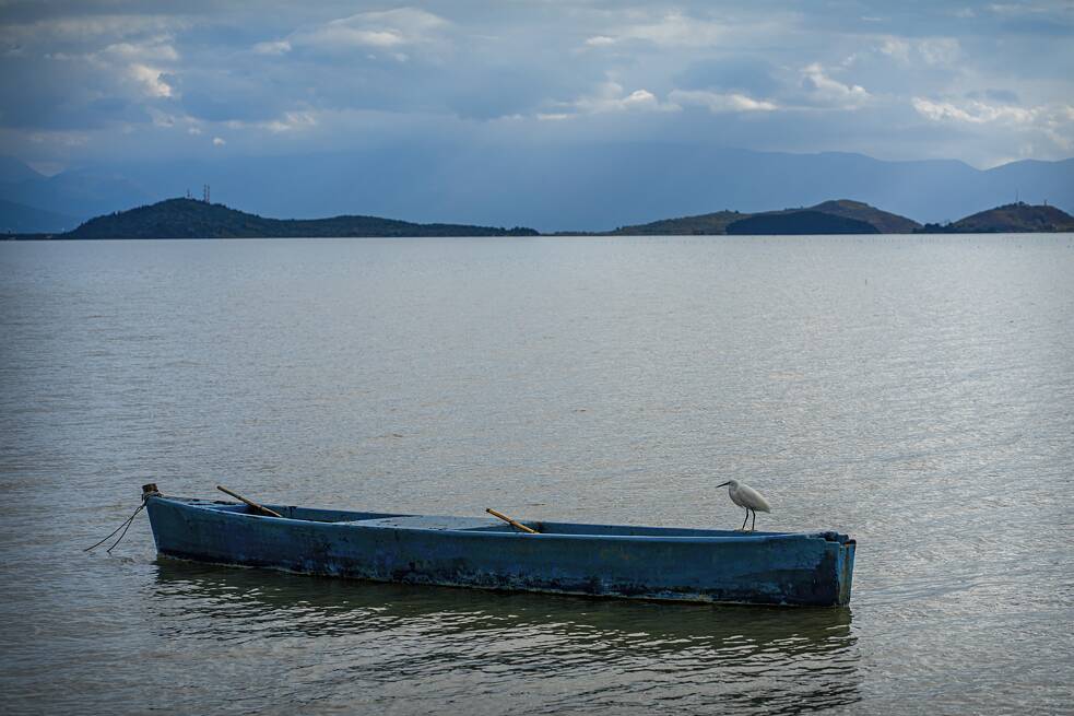 Ein Seidenreiher auf einem Boot in der Narta-Lagune