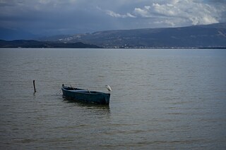 Ein Seidenreiher auf einem Boot in der Narta-Lagune