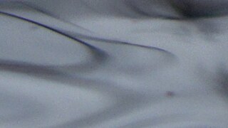 gube &copy; Goethe-Institut Georgien gube