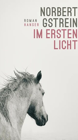 Im ersten Licht