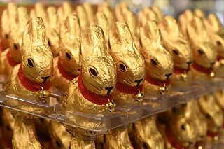 פלטת ארנבי שוקולד עטופים בזהב.