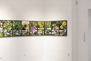 Fotoauswahl von der Ausstellungseröffnung