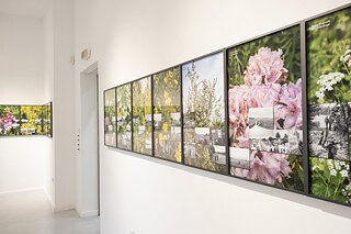 Fotoauswahl von der Ausstellungseröffnung