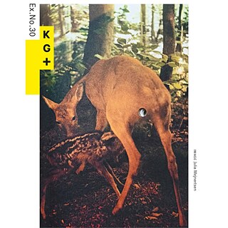 Image: Julia Mejnertsen