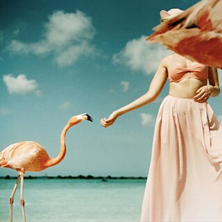 PINK Camille Hanson _ Residenz 2024 _ 1000x1000