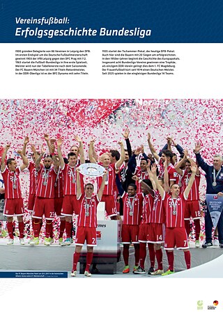 Vereinsfußball und Bundesliga als prägende Säulen der deutschen Fußballkultur