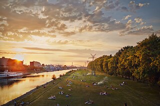 Blick auf eine Wiese am Neckarufer. Auf der Wiese sitzen Menschen in kleinen Gruppen.