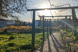 Weg zum Castelo