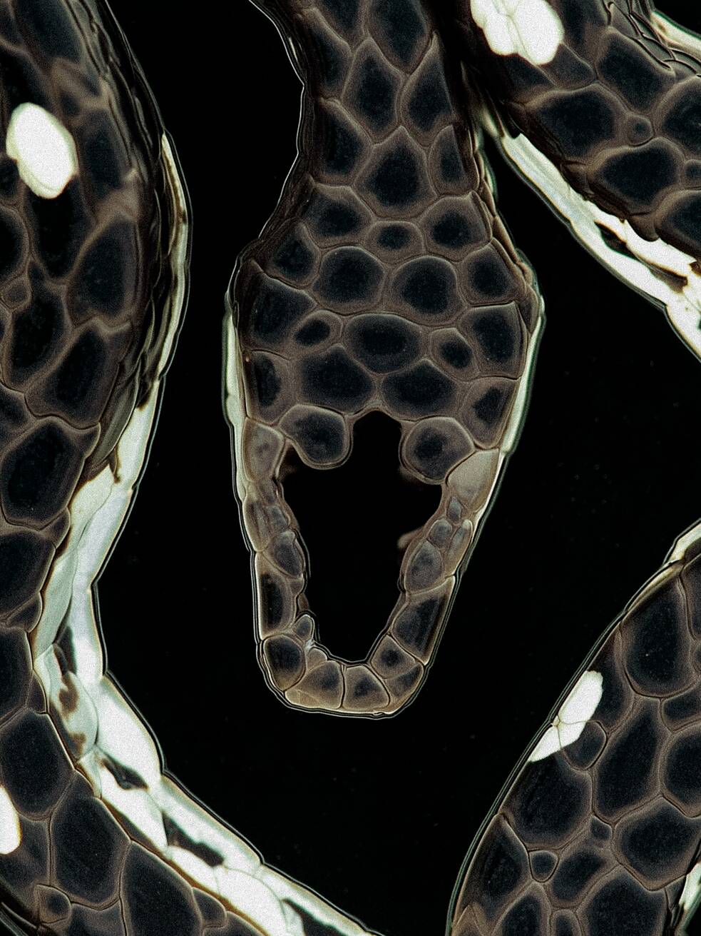 Chen Chuanduan: photograph from 'The Belly of the Giant Serpent: Prophecy', Photographic installation, 2026, ©Chen Chuanduan