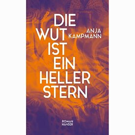 Die Wut ist ein heller Stern 