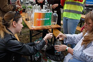 Besucher*innen des Solidaritätskonzerts bauen „Florarien“, kleine bepflanzte Glasgefäße. Auch im Club selbst wachsen überall Pflanzen.