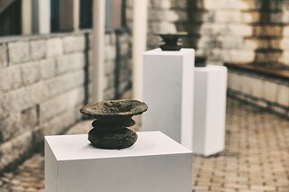 Hushed-Vibro Symbiosis