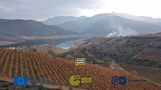 Climate Change Is Reducing Vineyard Areas in North Macedonia