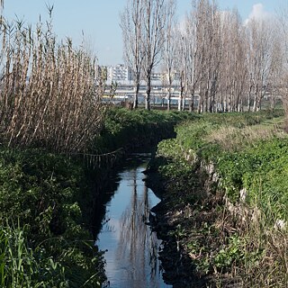 Landschaft mit Wasserkanal vor Schnellstraße und Hochhäusern