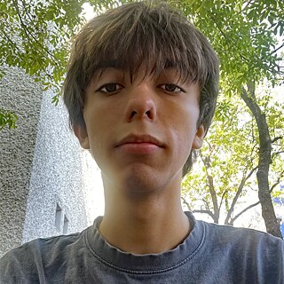 Román Vladimir Ramos Escobar