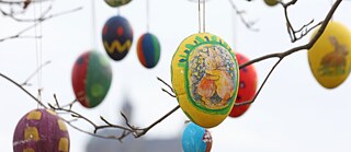 Decorated Easter eggs hang from branches.