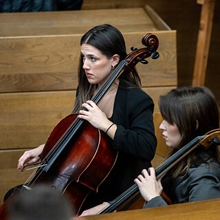 Kamerni orkestar Muzikon