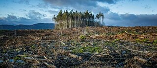 气候危机时代的戏剧叙事