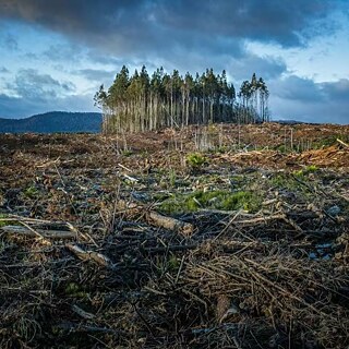 气候危机时代的戏剧叙事