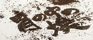 Dust in the Stomach 