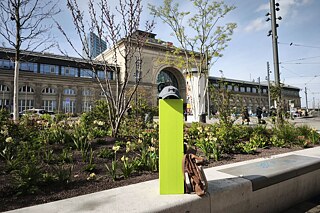 Vor dem Hauptbahnhof Mannheim: Ein frühlingshaft bepflanzter Vorplatz, auf einer grünen Säule eine Baseballkappe, neben der Säule ein brauner Rücksack.