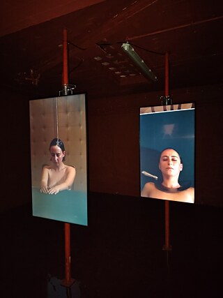 Stanislava Pinchuk, Vampiret, 2025