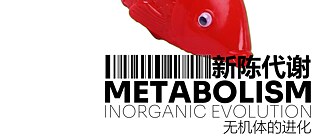 Metabolismus: Anorganische Evolution