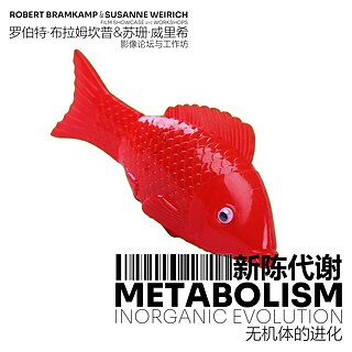 Metabolismus: Anorganische Evolution