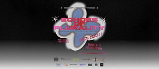 Echoes of Plurality 