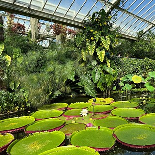 Kew Gardens