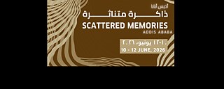 Scattered Memories