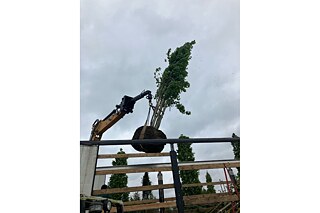 Im „Garten des Lebens“ werden in der Ukraine seltene Bäume gepflanzt – eine Spende aus den Niederlanden.