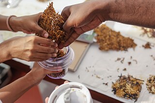 Experimenting with heat-pressed seaweed