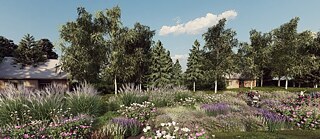 Im Rahmen des Projekts „Garten des Lebens“, das von einer Organisation ukrainischer Witwen ins Leben gerufen wurde, wurden bereits mehr als zehntausend Pflanzen gesetzt.