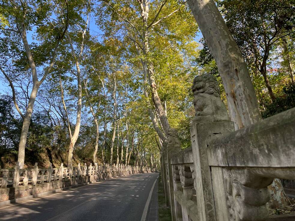 Nanjing, die Stadt der Platanen und Löwen