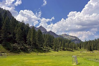 Blick auf eine Wiese, bewaldete Berge und weiße Quellwolken an einem strahlend blauem Himmel