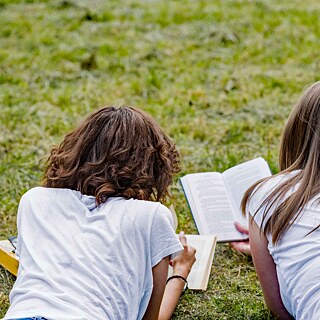 Jugendliche, die mit den Büchern auf einer Wiese liegend lernen