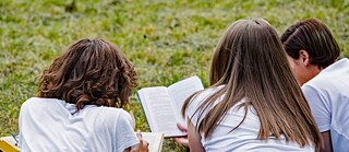 Jugendliche, die mit den Büchern auf einer Wiese liegend lernen