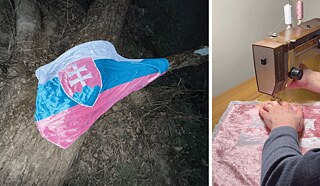 Das Projekt „Slovenská a žiadna iná“ („Eine Slowakische und keine andere“)
