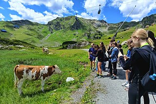 Jugendliche fotografieren eine Kuh, die am Wanderpfad steht.