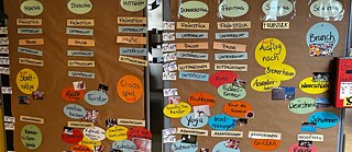 Pinnwand mit bunten Karten, die einen Wochenplan darstellen.