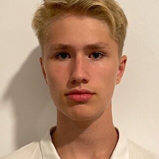 Feliks Sokolov