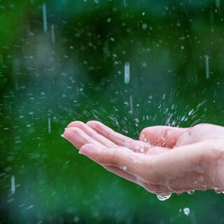 Nahaufnahme der nassen weiblichen Hände im Regen