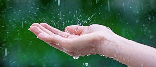 Nahaufnahme der nassen weiblichen Hände im Regen