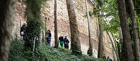 Menschen im Wald