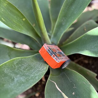 Roboteca_Edison im Garten des Goethe-Instituts
