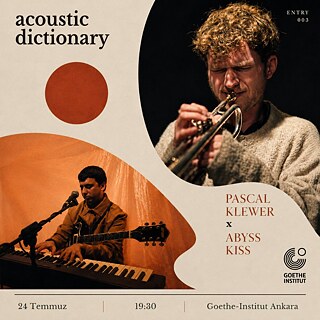 Acoustic Dictionary #3 / Plakat