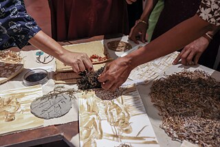 At the Open Lab. Seaweed art experiments.