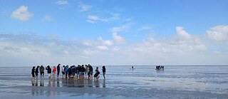 Wattwanderung in Cuxhaven